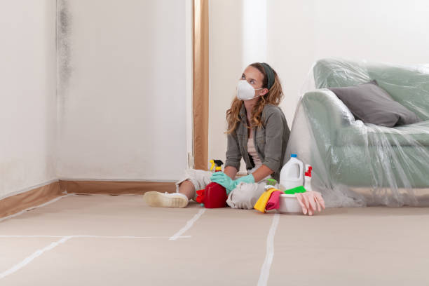 Reliable Mold Testing contractor in Sparta, NC by WQB Mold Removal